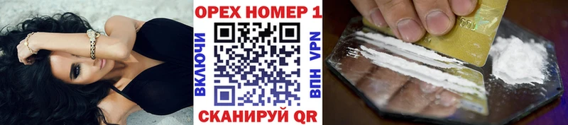 Cocaine Эквадор  закладка  Кизел 