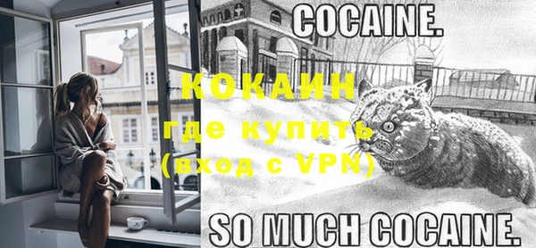 твердый Строитель