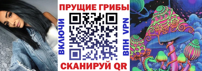 Псилоцибиновые грибы мухоморы  купить закладку  Кизел 